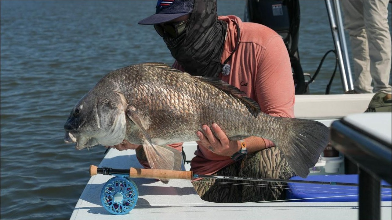 A black drum held over the gunwale of the bay boat, fly rod and reel on the deck — a frame from Capt. Rick's video Bottom Feeders
